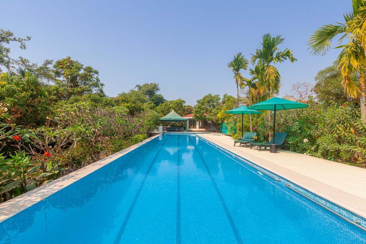 Stayvista'S Casa Palmera - Pet-Friendly Villa With Pool, Garden With Gazebo, And Indoor & Outdoor Games 알리바그 외부 사진