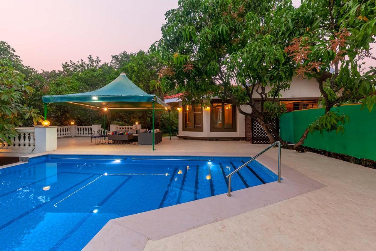 Stayvista'S Casa Palmera - Pet-Friendly Villa With Pool, Garden With Gazebo, And Indoor & Outdoor Games 알리바그 외부 사진