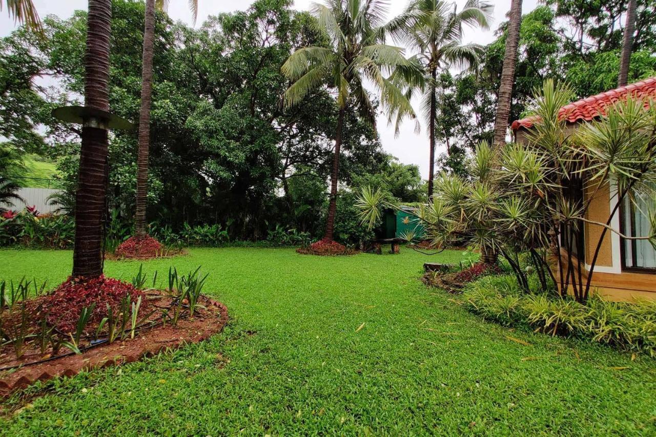 Stayvista'S Casa Palmera - Pet-Friendly Villa With Pool, Garden With Gazebo, And Indoor & Outdoor Games 알리바그 외부 사진